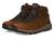 color Rich Brown 3