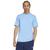 color Ash Blue 15