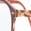 color Burgundy Transparent 0