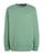 color Sage green 4