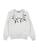 color Light grey 2