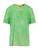 color Lime green 2