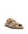color Beige 2