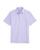color Aster/ White Cap 2