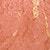 color Rose D'Oro 02 3