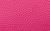 color DRAGONFRUIT 2