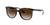 color Gradient Brown 2