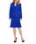 color Celeste Blue 2