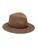 color PECAN 1