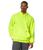 color Brite Lime 0