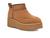 color Chestnut 1