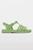 color Matte Green 2