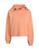 color Salmon pink 1