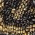 color LEOPARD 11