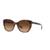 color Tortoise/Transparent Beige/Brown Gradient 1