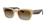 color Polarized Gradient Brown 3