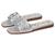 color Silver Raffia 4