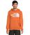 color Iron Bronze/TNF White 2