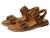 color Oak Brown 2