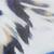 color ANIMAL SWRL BLU 2
