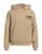 color Camel 0