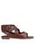 color Chocolate brown 1