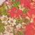 color TROPIC PRINT 1