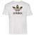 color White/Multi 5