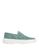 color Sage green 1
