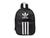 color Black/White Stripes 1