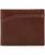 color Brown 1
