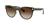 color Brown Gradient Dark Brown 1