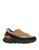 color Brown 1