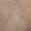 color Taupe Distressed 2