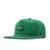 color Kelly Green 13