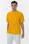 color Gold 8