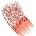 color INTENSE CORAL 1