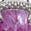 color Silver - Ruby - July 0