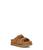 color Chestnut 1