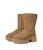 color Chestnut 1