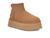 color Chestnut 1