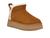 color Chestnut 1