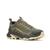 color Olive 2