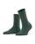 color Hunter Green 4