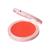 color Poppy 0