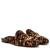 color Tiger Brown Multi 17