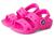 color Pink Crush 1