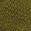 color Chasm Green/ Stony 0
