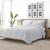 color light gray 3