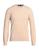 color Beige 1